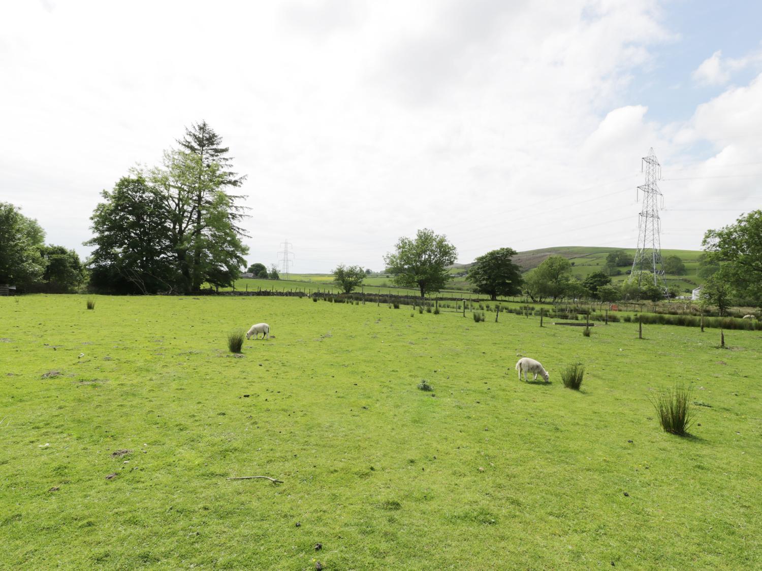 Bwlch Yr Awel Cottage Brynkir Zewnętrze zdjęcie